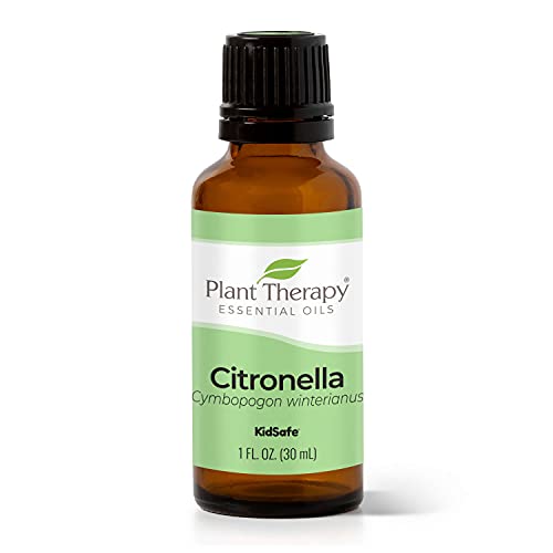 Растителна терапия Етерично масло от цитронела 30 мл (1 унция) е Чист, неразбавленное, Лечебен качество