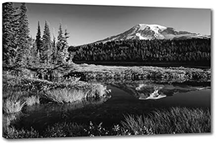 VLYWHEOUDJ Отпечатъци върху Платно Голям Размер на изображение пейзаж на Национален парк Планина Рение, Черно-бели Стенни