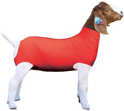 Show Pro Червена Коза тръба от ликра за Изложбени кози - Аксесоари за изложбени животни: Калъфи и попоны за кози (средно)