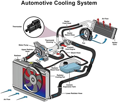 X Корпус на Термостата на охлаждащата течност на двигателя AUTOHAUX в събирането на 2S6G-8A586-D1C за Ford Fiesta Premium