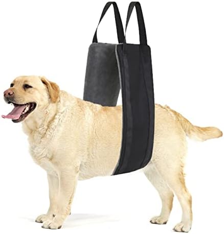 Шлейка за повдигане на кучета LexRory за задните крака - 20-150 паунда Удобна шлейка за подкрепа на задните крака, за да помогне