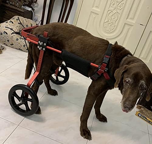 ZXLX Инвалидна количка за кучета Малки и Средни по размер за Рехабилитация и инвалиди на Задните Лапи, Количка за домашни