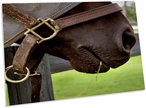 3. Муцуната на каишка за коне, сено, Трева - Подложки за работния плот (dpd-162187-1)