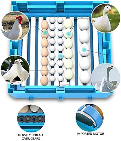 Инкубатор за 128 Яйца за Инкубация на Яйцата, Автоматичен Инкубатор за яйца с Автоматично Переворачиванием яйца и контрол на