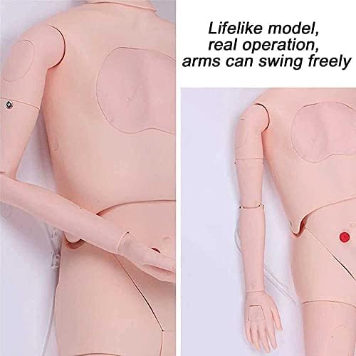 NIHE Анатомическая модел на Човека Многофункционален Симулатор на Грижите за пациентите, Мъжки и Женски Манекен за обучение