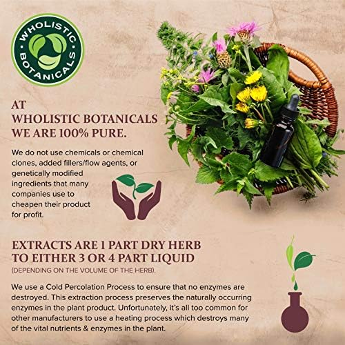 Етерично масло от Лавандула Wholistic Растителни — Етерични масла за Ароматерапия - Чисто етерично масло — 15 мл