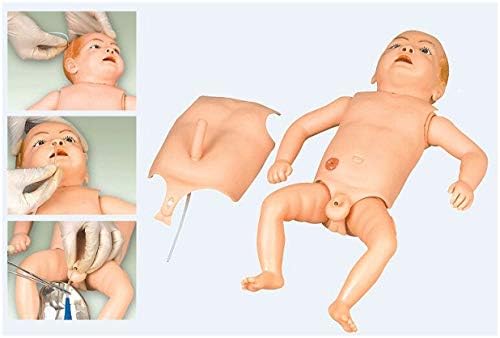 Обучение модел на Манекен FHUILI - Симулатор за грижа за пъпна връв на новороденото Манекен старши специалист по грижа