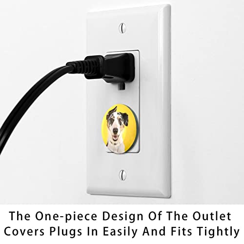 24 Опаковки, Покривала за Контакти със Забавна Бяло Куче на Жълт Фон За Защита от деца | Сигурните Защитни Електрически