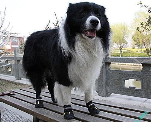 Водоустойчив обувки за кучета премиум-клас Пет Labs с плъзгане гумена подметка Удобна и защитно - с отразяващи джапанки