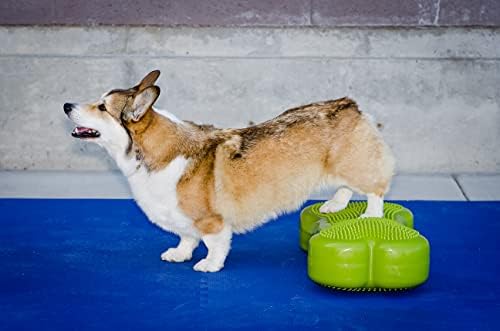 Платформа за тренировка на равновесие кучета FitPAWS® K9FITbone CanineGym® – Обикновен, зелен