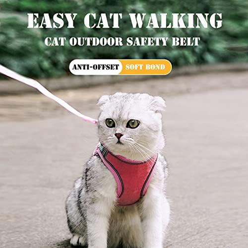 Регулируема комплект колан за предпазване от бягство за котки с Регулируеми и Светлоотразителен нагрудным колан е Подходящ
