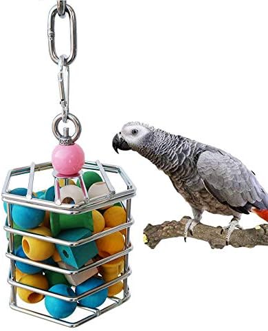 Кошница за храна и плодове от неръждаема стомана за Вълнообразни попугайчиков Eclectus Parrot, Черноголового ара с черни щечками,