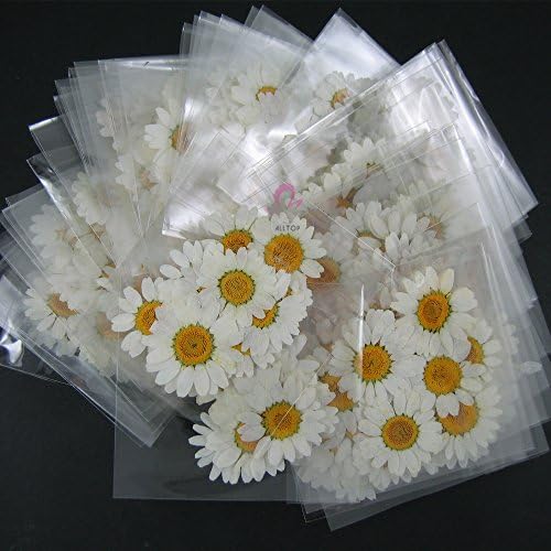 Пресована Цветен микс Цветя Хризантема бледнолистная 100 опаковки 600шт сухи цветя (Микс 300 опаковки (1800шт))