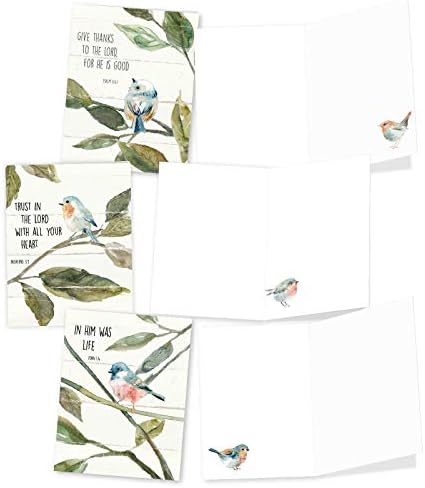 Най-добрата компания за производство на пощенски картички - 20 празни банкноти в плик - Асортимент от домашни