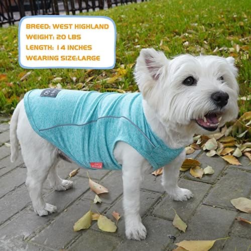 Риза KYEESE Dogs за малки кучета, Бързосъхнеща Мека Дишаща Тениска за кучета с Светоотражающей Ивица, Спортна Риза, Слънцезащитен