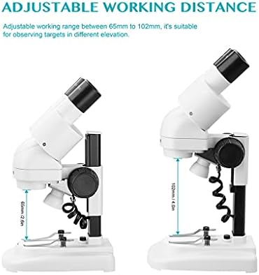 LIRUXUN 2, 0X/40x Стереомикроскоп с Наклон 45 ° Окуляры с Наглазником Top Vision LED на PCB Saler Мобилен