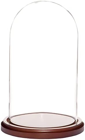 Стъклена витрина Plymor 5,5 x 10 инча дамска шапка клош (рамка от орехово дърво, МДФ)