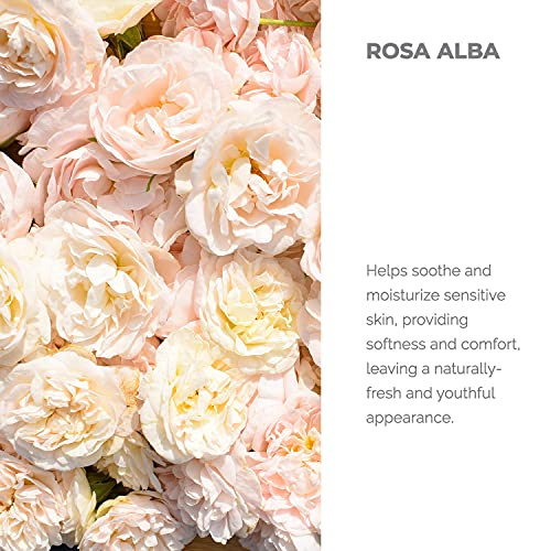 Българска бяла розова вода (Rosa Alba) - Чиста Органична, Сертифицирана от Министерство на земеделието на САЩ - 17
