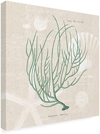 Търговска марка на Изобразителното изкуство Горгония Миниацея на лененото платно от морската пяна Sq от Wild Apple Portfolio