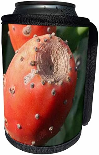 3. Плодовете на кактуса бодлива круша на Круша - Индийски смокини Близък план - Опаковки за бутилки-охладител