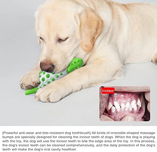 Крокодил Куче Играчка Преминаващ Хранително-вкусовата Топчета Моларна Пръчка За Почистване на Зъбите на Кучето Четка за