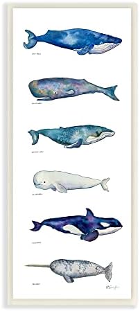 Stupell Industries Maritime Морски живот Океанските китове Карта Нарвалов Графика, дизайн MB Cunningham