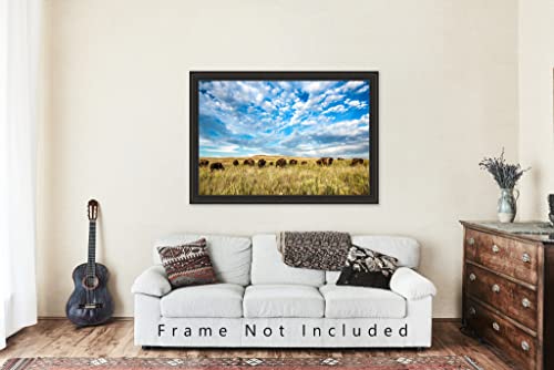 Западна фотография, Принт (без рамка), Изображението на стадото биволи под Голямото Синьо небе на Високопланинско прерията в Оклахома, Бизони, Стенно изкуство, Деко