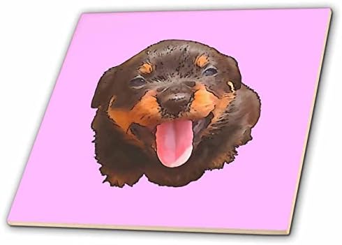 3D Рисунка на Кученце ротвайлер в карикатура стил, облегнат език - плочки (ct_356000_1)
