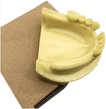 KH66ZKY Вспененная Стоматологичен Модел на Зъбите Образователна Модел Имплант на Долна Челюст Имитация Костеподобного