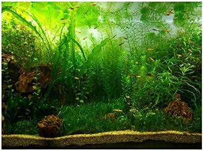 Фон за аквариум Qiterr, Плакат С водна Трева, PVC Залепваща Хартия За Декорация, Воден Стил, Като Истински (6130 см)
