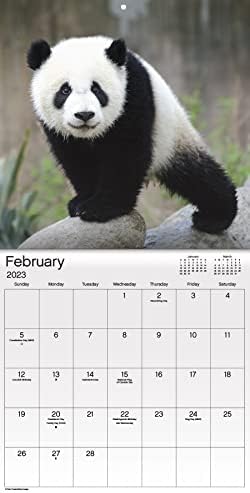 Календар за деца с животни, на 2023 година - Луксозен Комплект Стенни календари с животни, на 2023 година с повече
