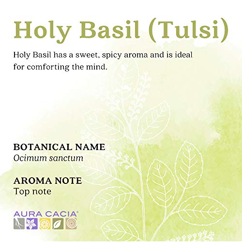 Aura Cacia Етерично масло от Базиликата сакре (Тулси) | Сертифицирано Органично, ГХ/МС Тестван за чистота | 7,4