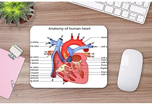 Wozukia Анатомический Подложка за мишка с формата на сърце, Специална Медицинска Структура, Виена Органи, Кардиология, Нескользящий