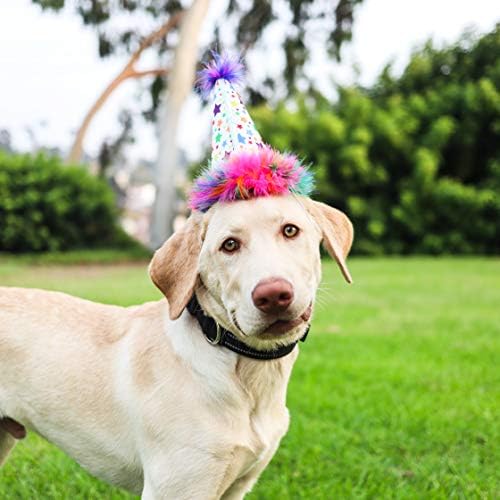 Празнична шапка H & K за домашни любимци | Суперзвезда (малка) | Шапка за рожден Ден за кучета и котки | Регулируема