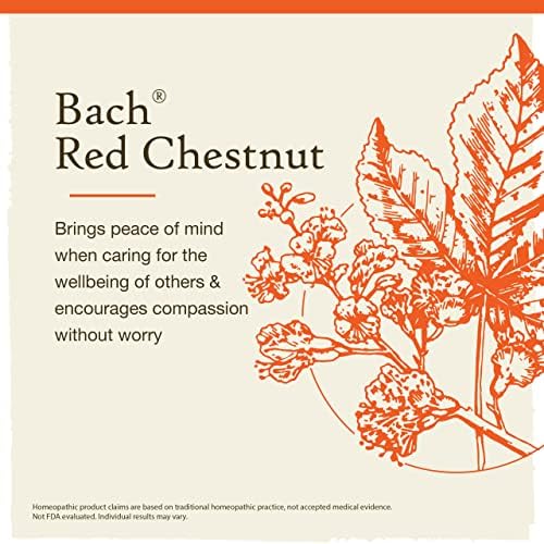 Bach Original Цветя средства, Червен Кестен за спокойствие, Естествена гомеопатическая Цвете копър, Холистическое