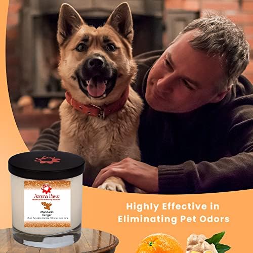 Ароматна свещ за кучета Aroma Paws – за защита от миризмата на кучета и домашни любимци – Памук фитил ръчна изработка