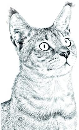 Арт Дог Оод. Чаузи, Овално Надгробен камък от керамични плочки с изображение на котка