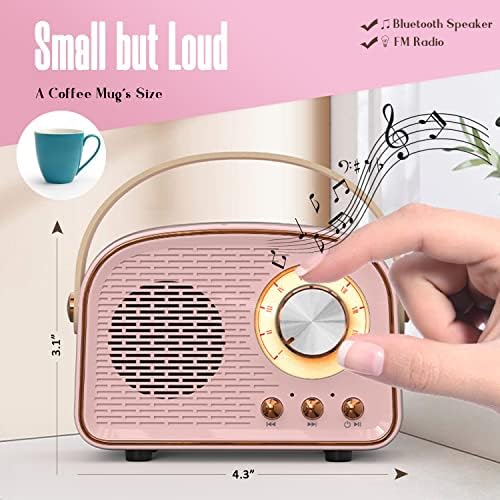 Bluetooth-Високоговорител SpringFlora в ретро стил, Сладък Мини Говорител с FM-радио, Портативен Безжичен