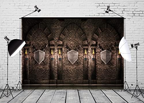 BELECO 15x8ft Текстилен Фон в Готически стил на Средновековен Замък, Арки от Древен Тухли, Каменни Стени, Арки с Мечове,