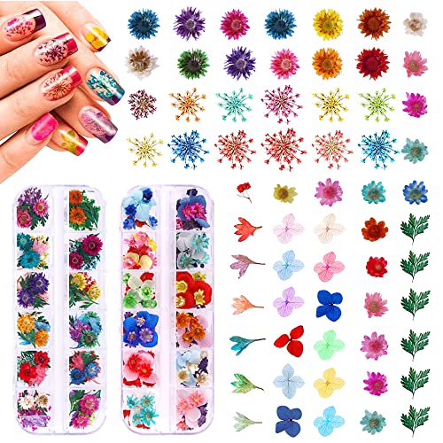 216 БР., Аксесоари комплекти за дизайн на ноктите с Сухи Цветове, 57 Цвята, Прекрасен Естествен Цветен Дизайн на