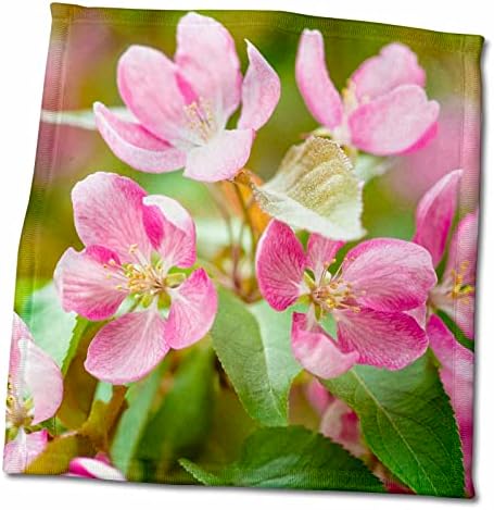 3. Розово цвете ябълка-раци, зелени листа, мек жълтеникав фон - Кърпи (twl-270584-1)