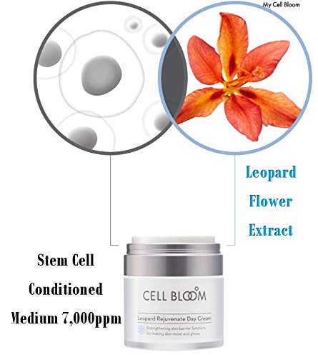 Дневен крем CELL BLOOM | Корейска козметика със стволови клетки I K-Beauty За грижи за кожата на 1 От корейската фармацевтична