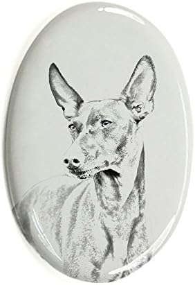 Cirneco dell ' Etna, Овално Надгробен камък от Керамични плочки с изображение на Куче