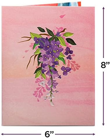 Хартиени картички Love Frndly Pop Up 2 в опаковка - Включва 1 глицинию и 1 кутия с цветя, за всички случаи, е екологично