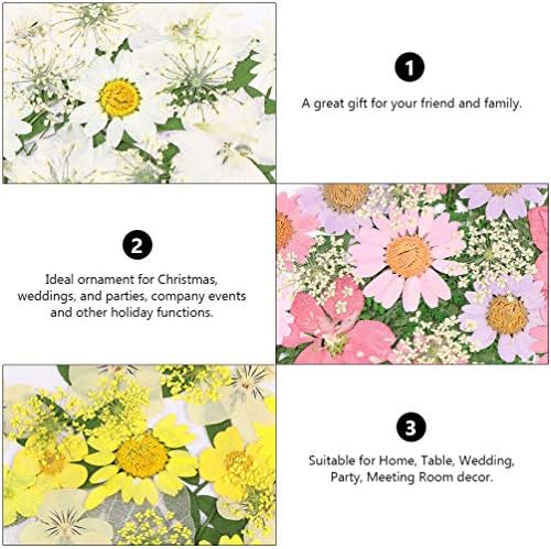 EXCEART Plants Decor Комплекти за украса на ноктите с растения, 3 Серии, сухи цветя, Естествени сухи цветя, Истински Пресовани