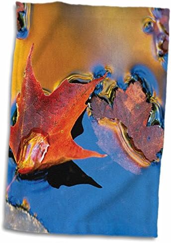 3D Rose, САЩ-Север-Изток -Червен Кленов лист през есента-Us52 Bja0002-Jaynes Gallery Кърпа за ръце / Спорт, 15 x 22