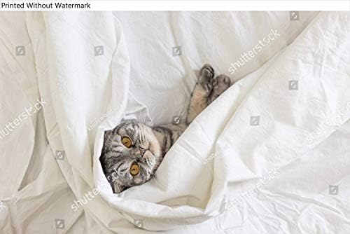 Репродукция на плакат с образа на сивата шотландски вислоухой котки, седнала на леглото си, увити в чаршафите. Изглед