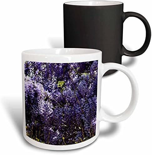 Керамична чаша 3dRose mug_161007_1 кътче от красива лилава глициния, 11 грама
