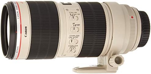 Супер телефото обектив с увеличение на Canon EF 70-200 mm f/2.8 L is II USM за огледално-рефлексни фотоапарати