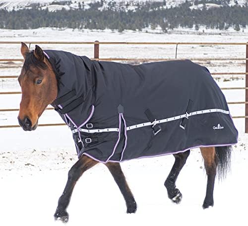 Класическо Зимно одеало за крос-тренажори за коне 10K с качулка, Черно, X-Large